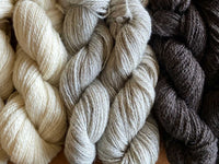 Shameless Sheep Montana Worsted Yarn – 100% Shetland & Icelandic Wool, 240 yds