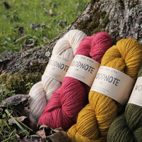 Baa Ram Ewe Woodnote DK Yarn – BFL Masham Merino Blend, 223 yds, Non-Mulesed